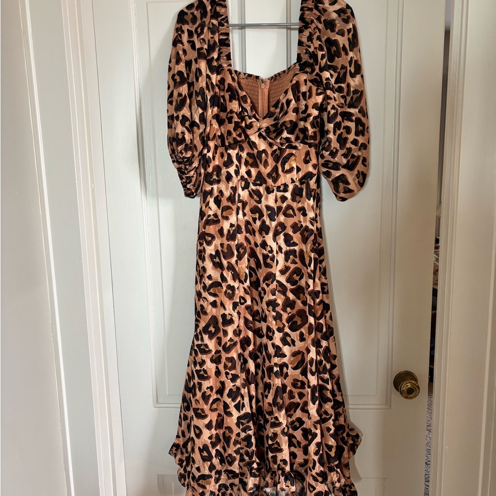 Anthropologie Animal Print Long Sleeve Dress